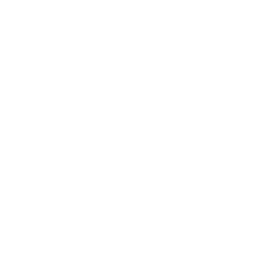 Safety icon